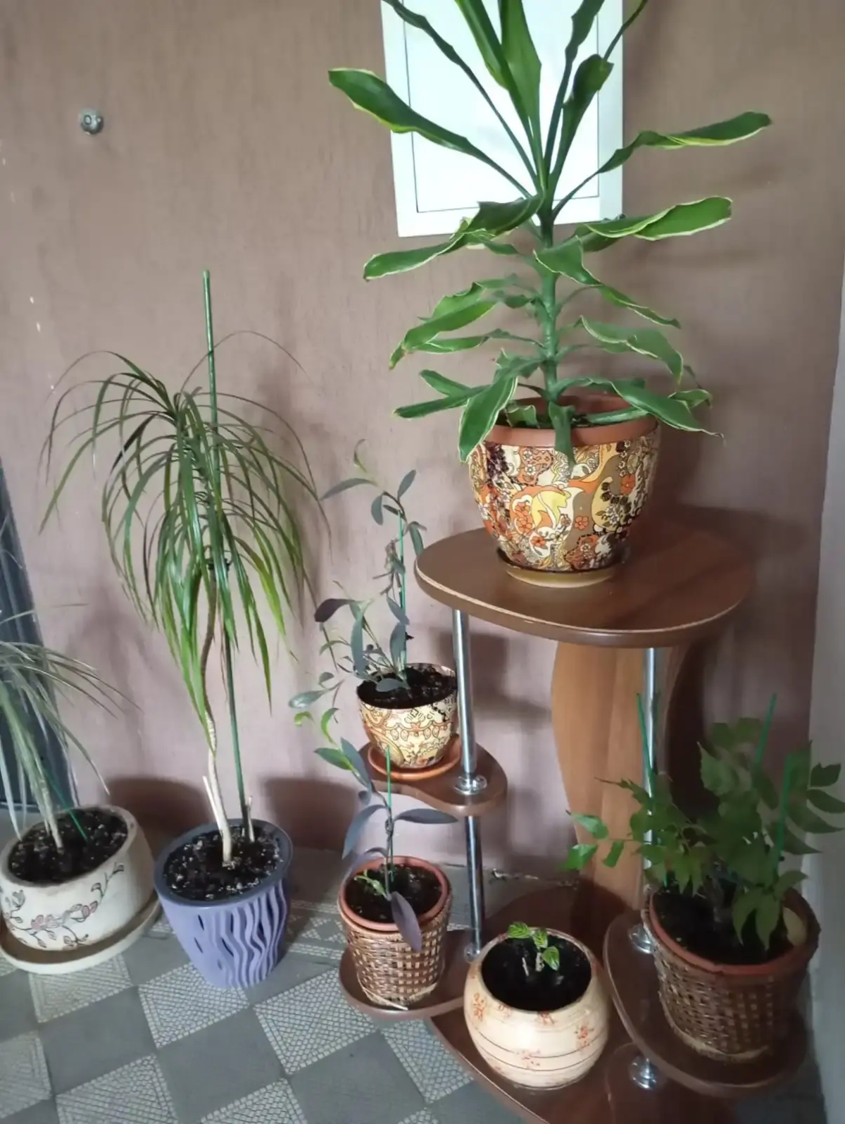 Гостиница Бестужев