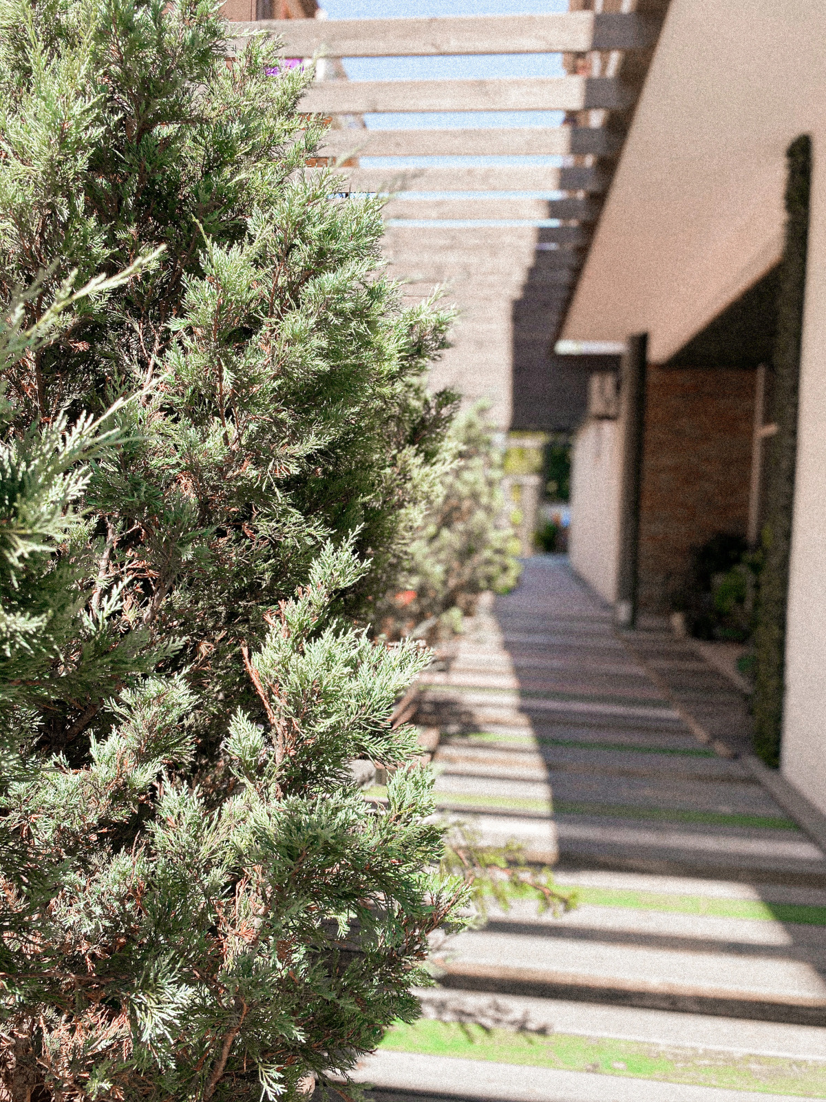 Гостевой дом Симирам