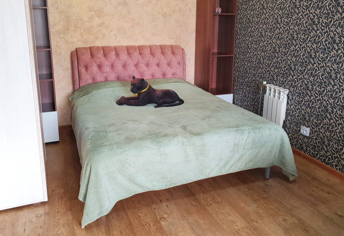 Апартаменты "Багира" рядом Протон-Арена, бассейн ДВВС, СКАД, въезд в город, Р228