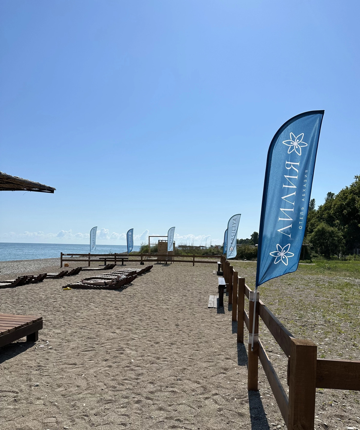 Отель Лилия