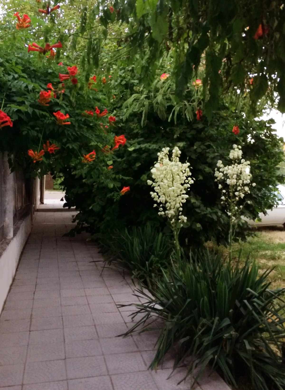 Гостевой Дом Татьяна