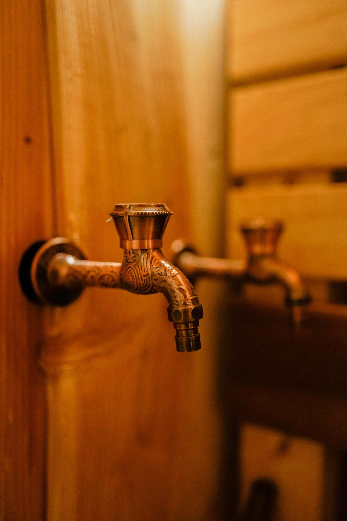 Частный дом Еловый переулок 1