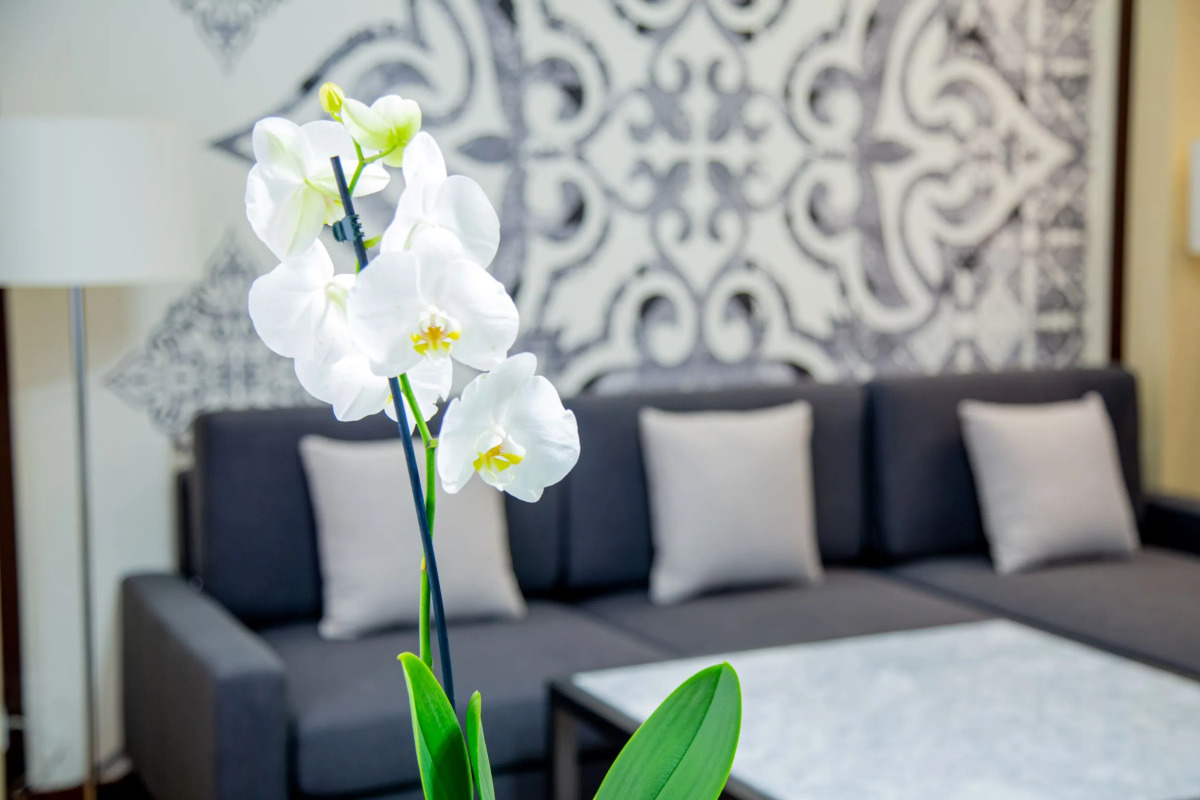 Парк Отель Казжол