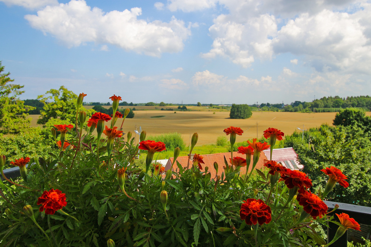 Апартаменты на Тихой