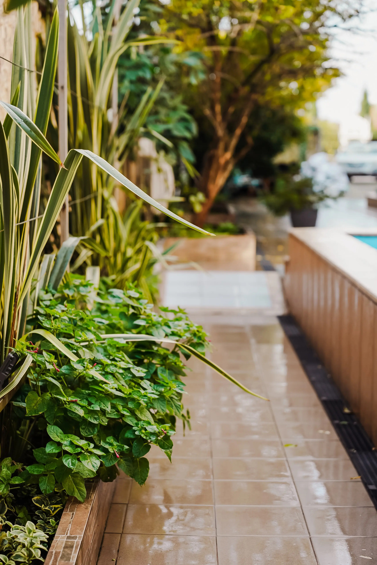 Гостевой дом Мзымта