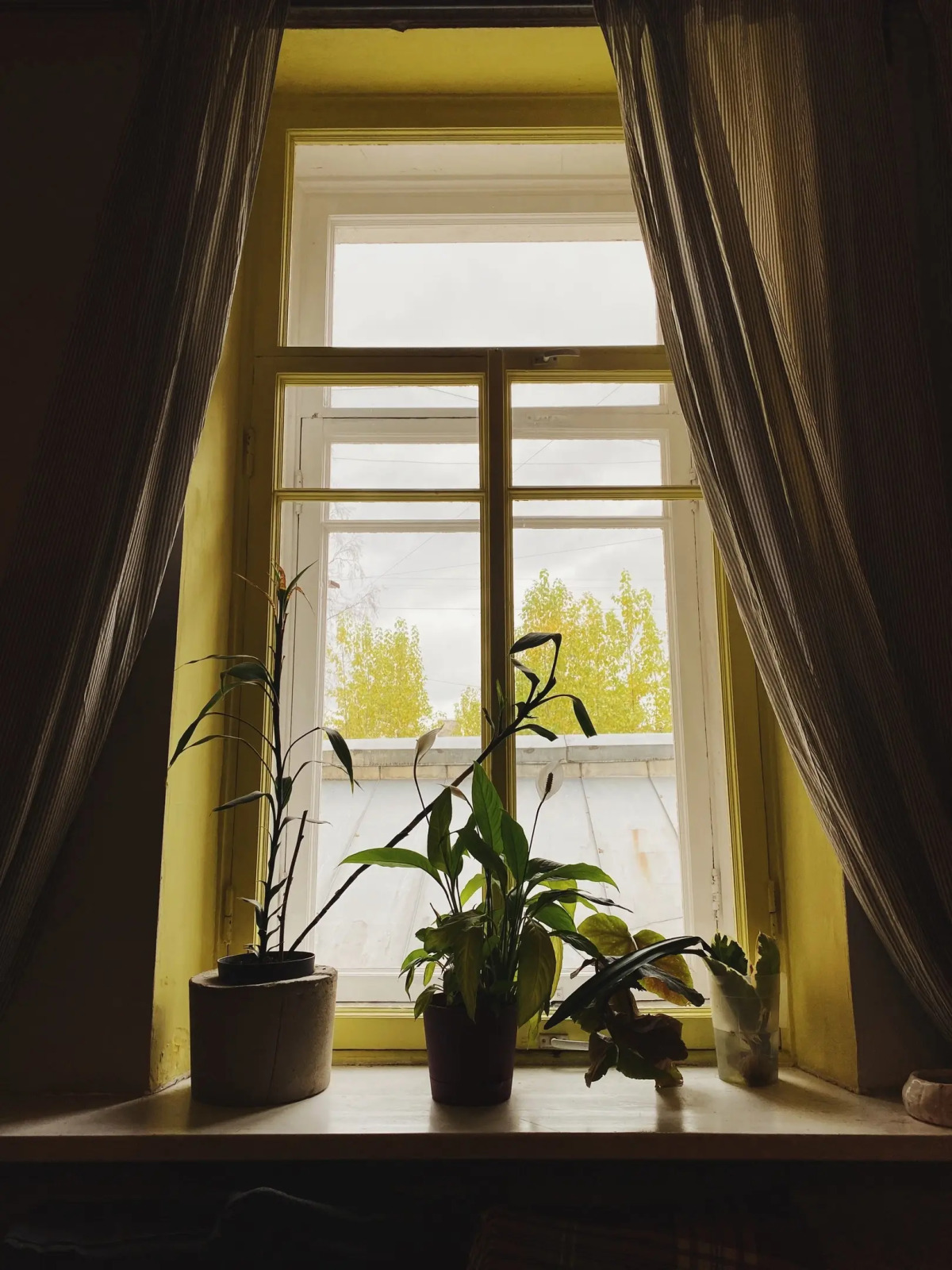 Хостел Chickadee