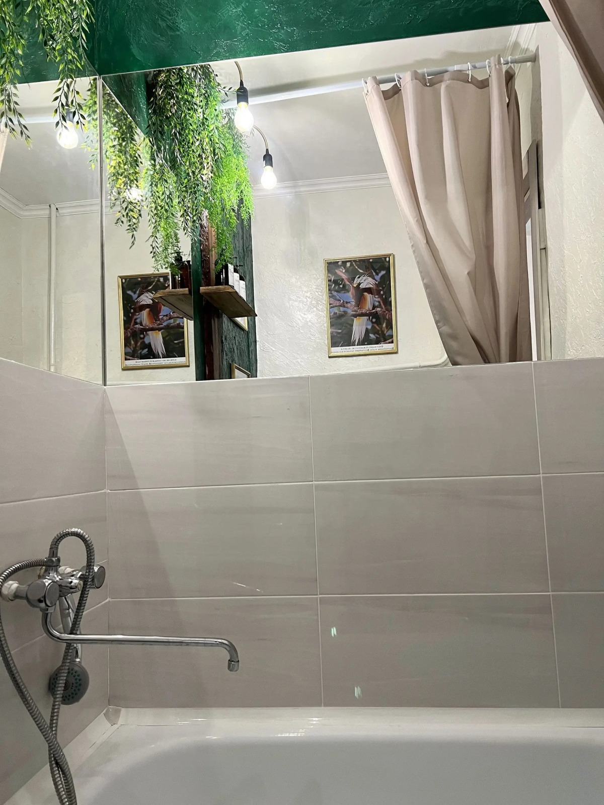 Апартаменты Райская птичка