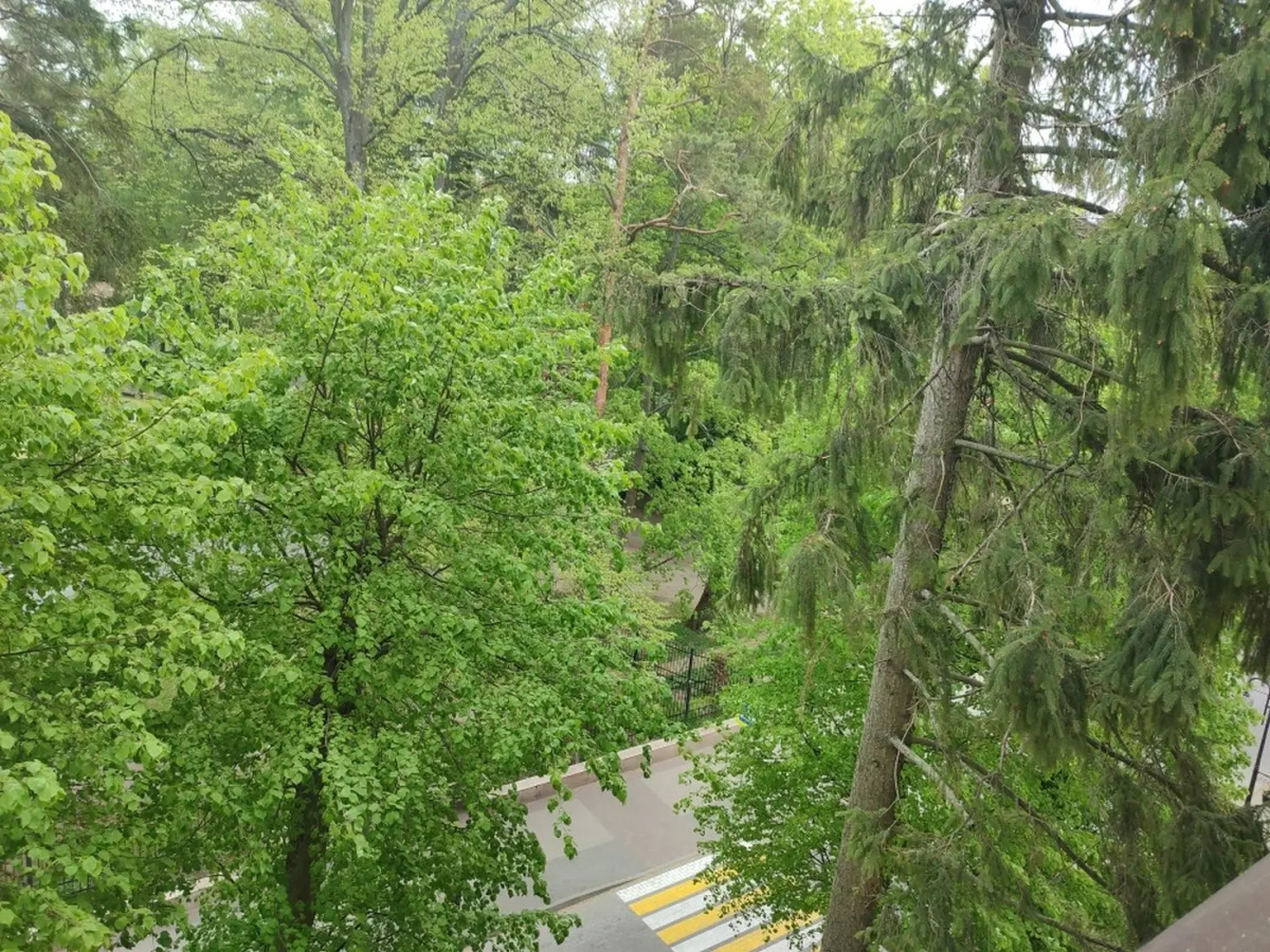 Апартаменты Апарт Трофи у парка