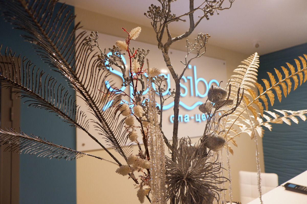 Отель Мышк Инн