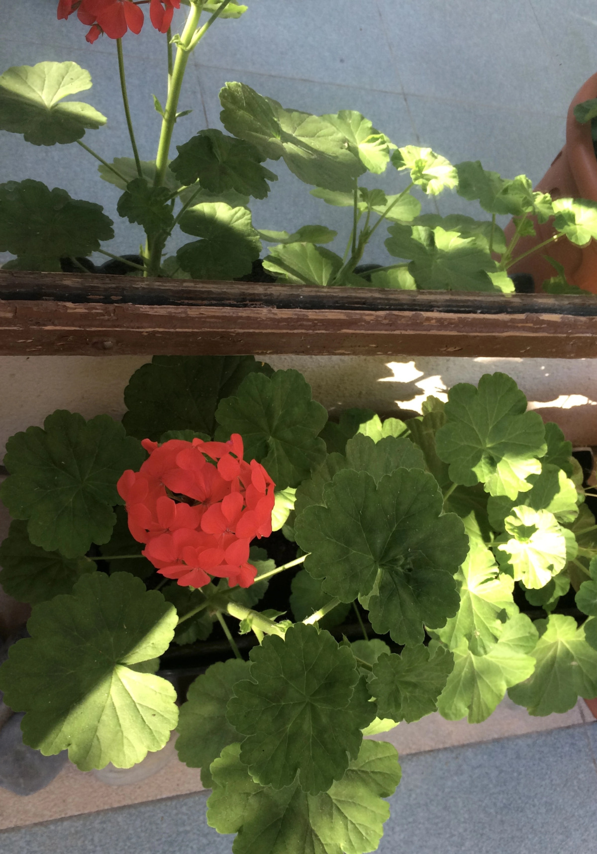 Гостевой Дом Татьяна