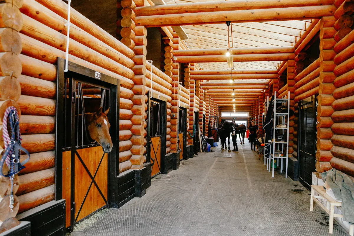 База отдыха  Ранчо