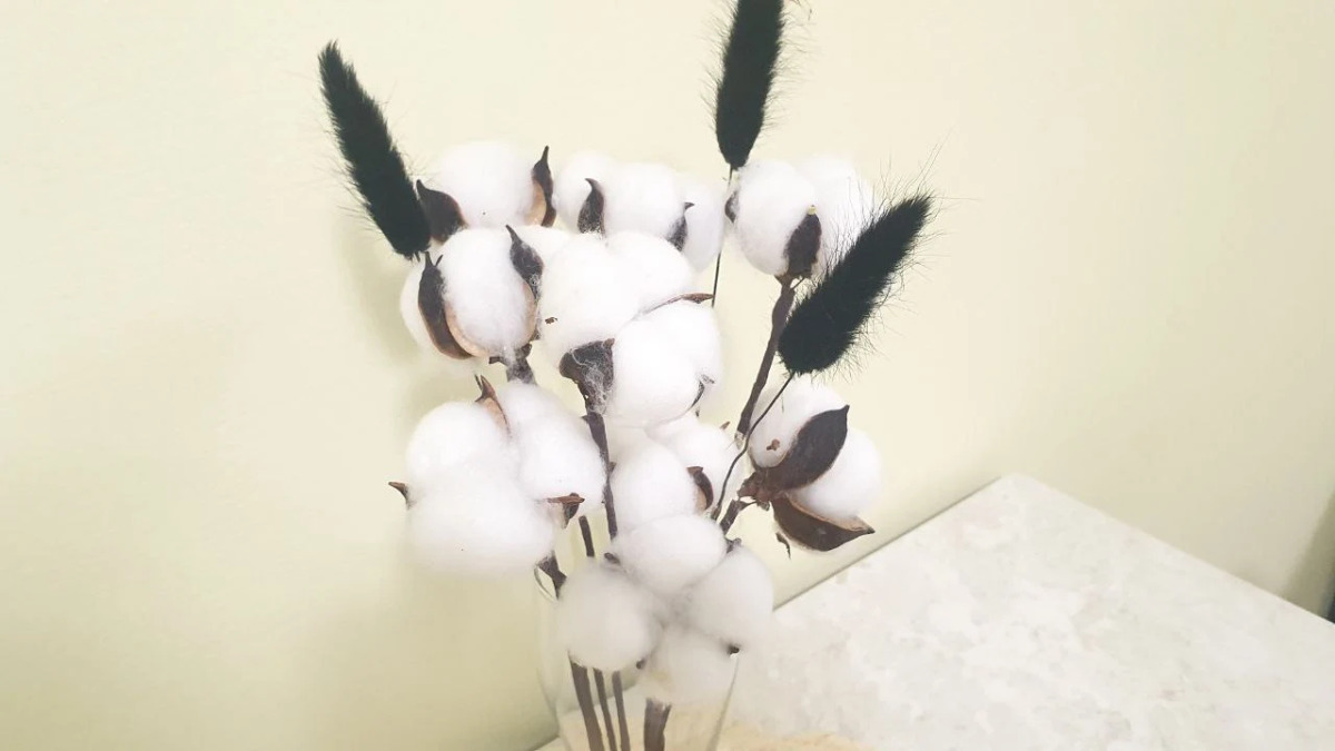 Квартира Хохлова 3