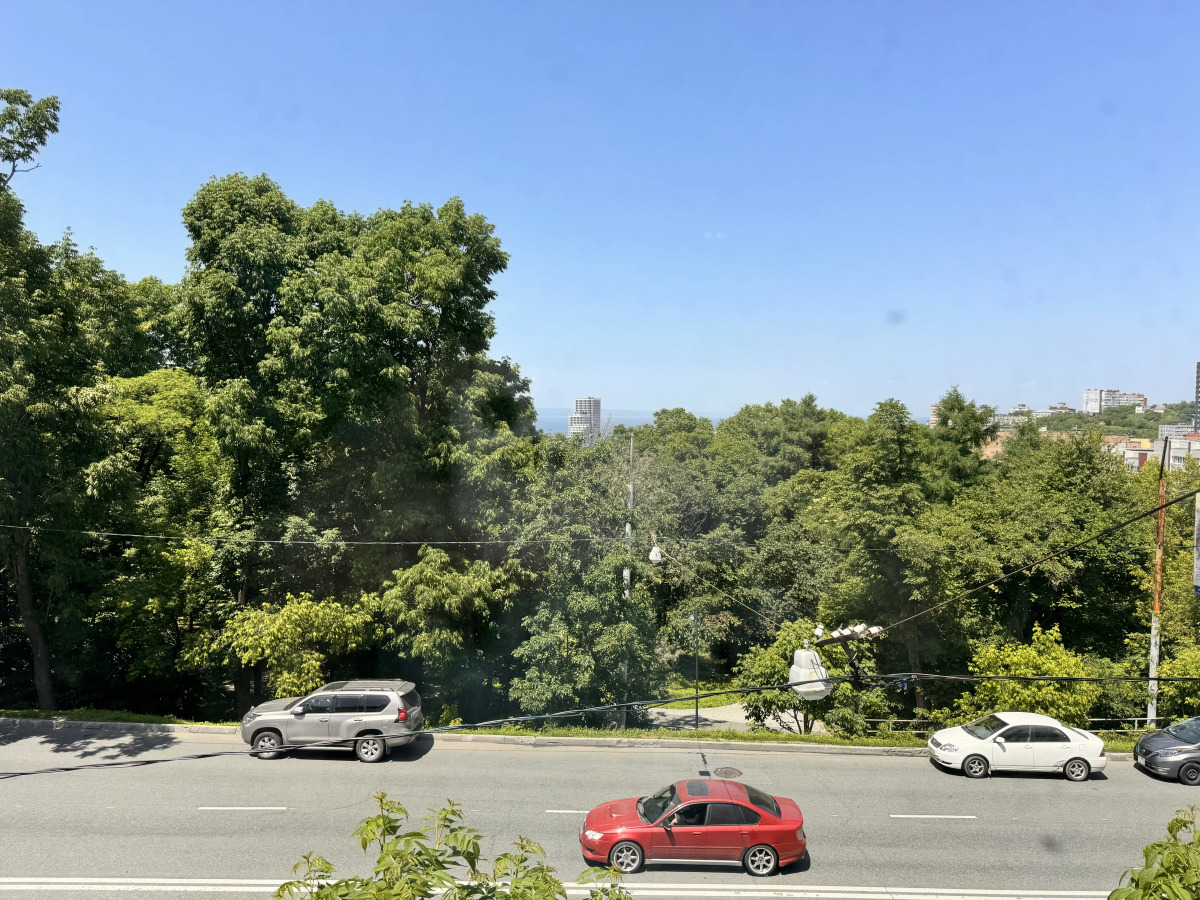 Квартира около городского парка