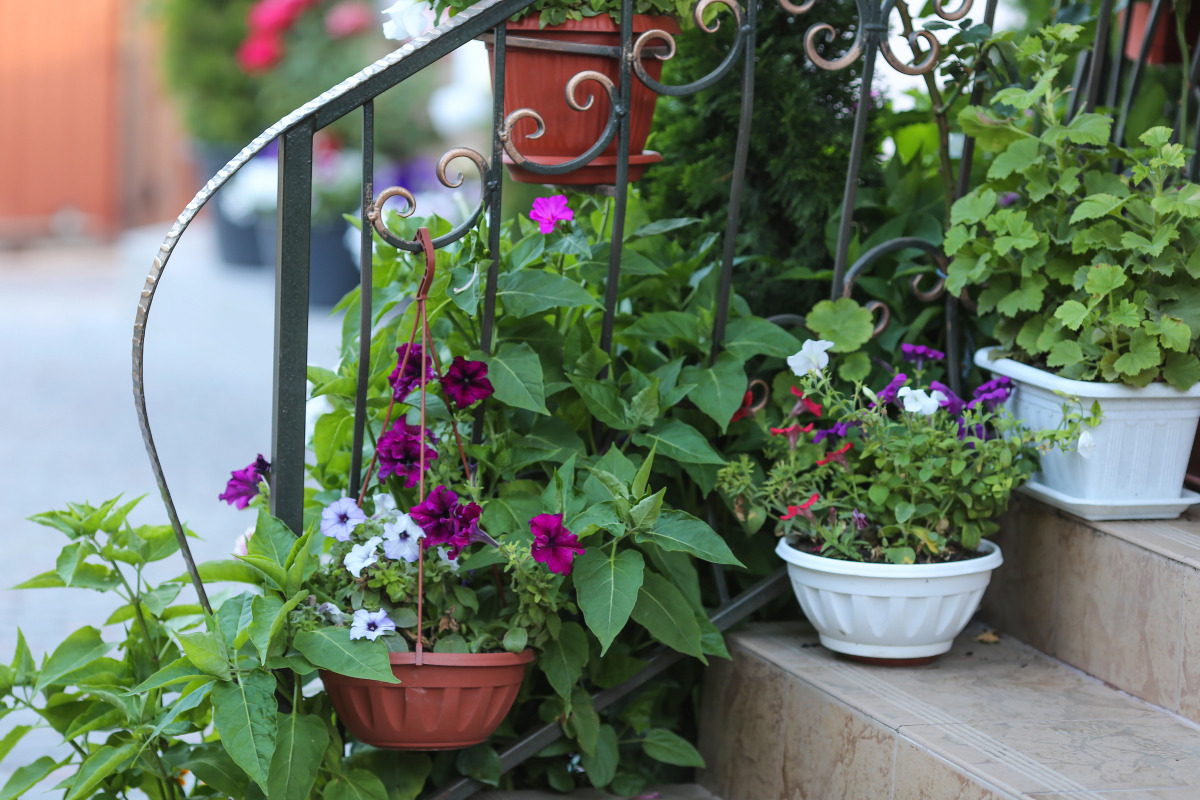 Меблированные комнаты Nifea