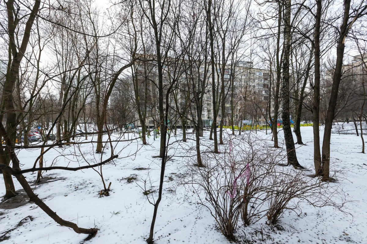 Апартаменты Mars от Home24