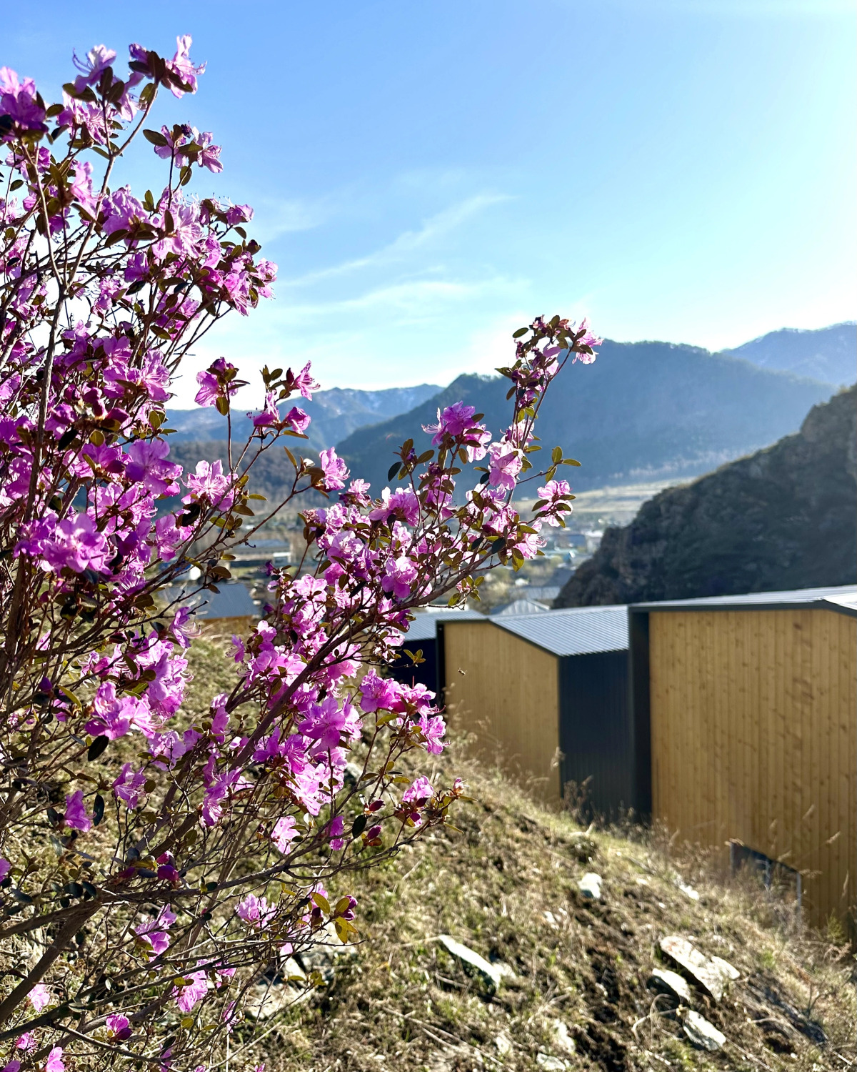 Горная усадьба ALTAYPIC