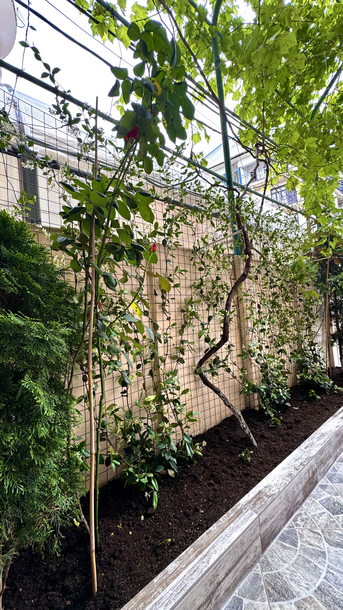 Гостевой Дом Прибрежный