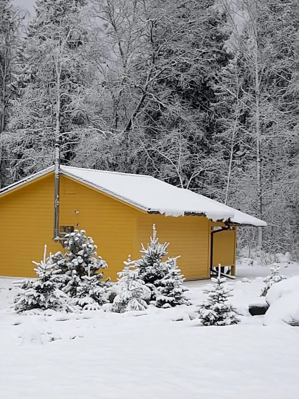 Гостевой дом с выходом в лес