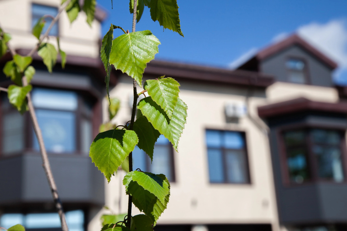 Отель Белый Снег - White Snow