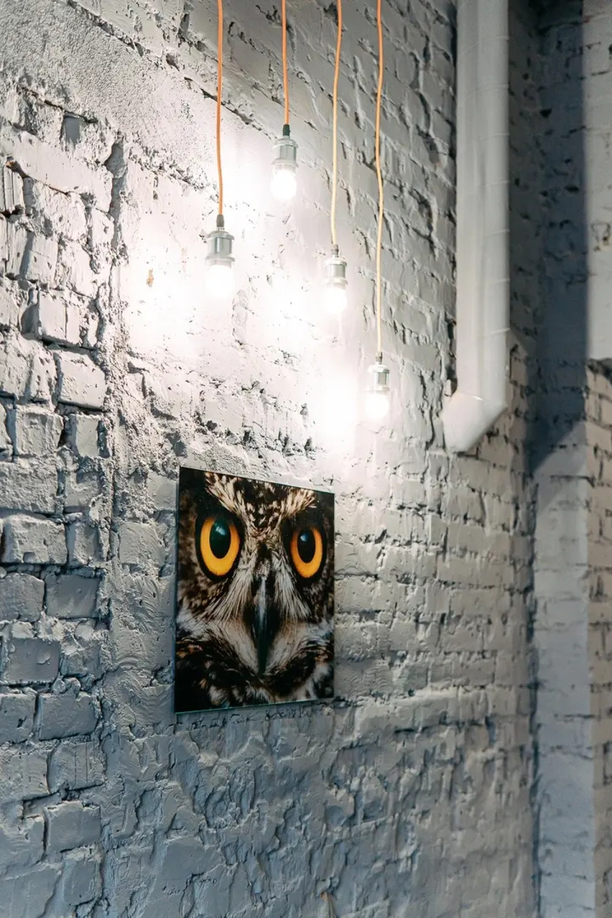 Хостел Murman Loft Hotel