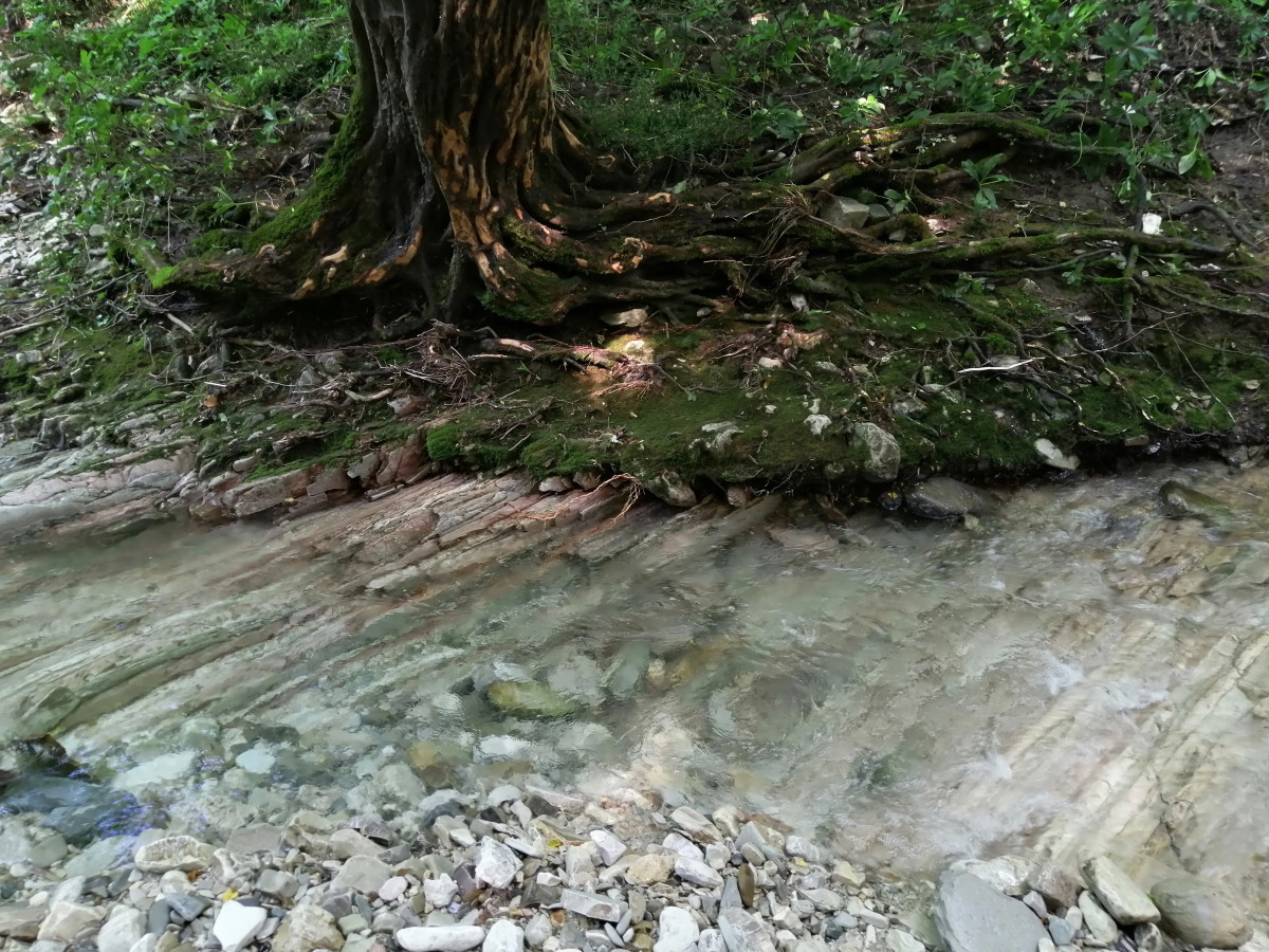 Гостевой дом Сола