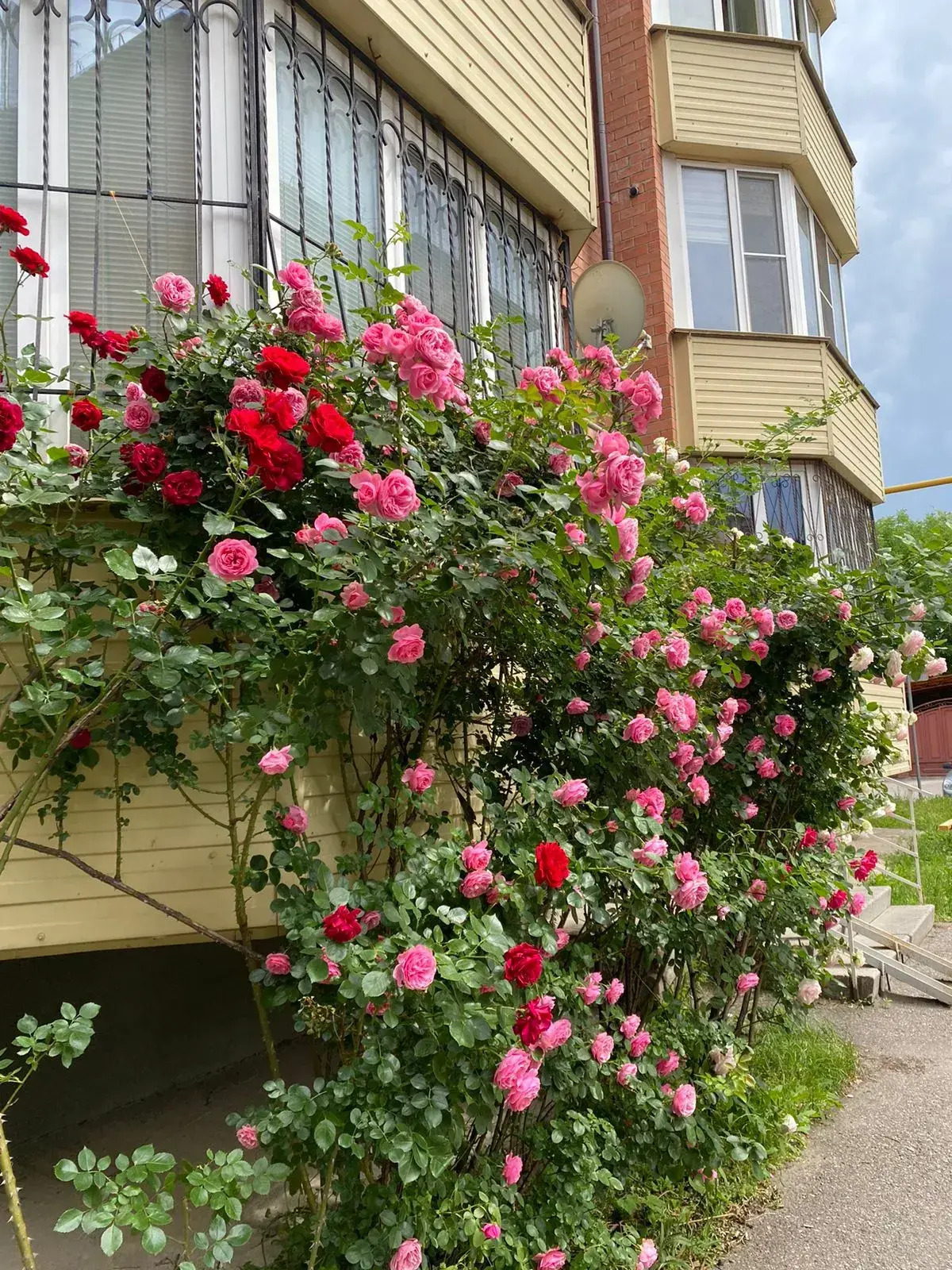 Квартира Welcome