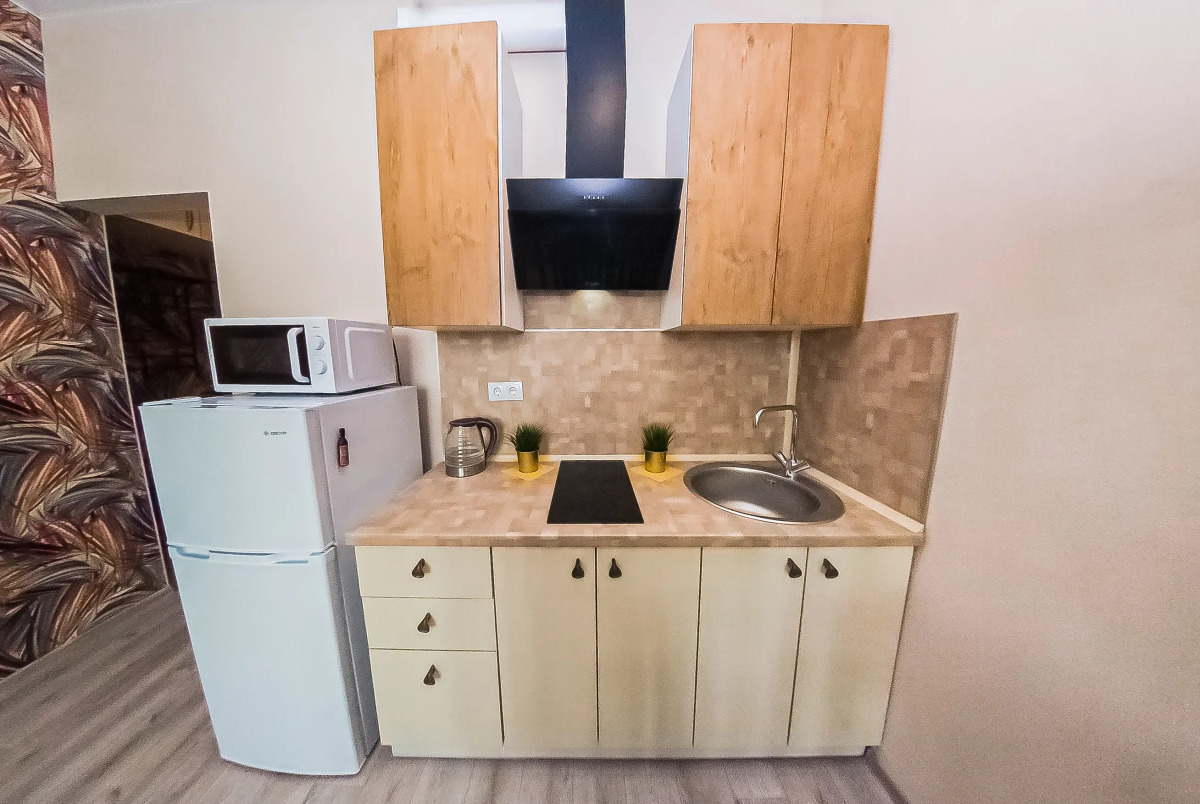 Апартаменты Мильфей 100-1