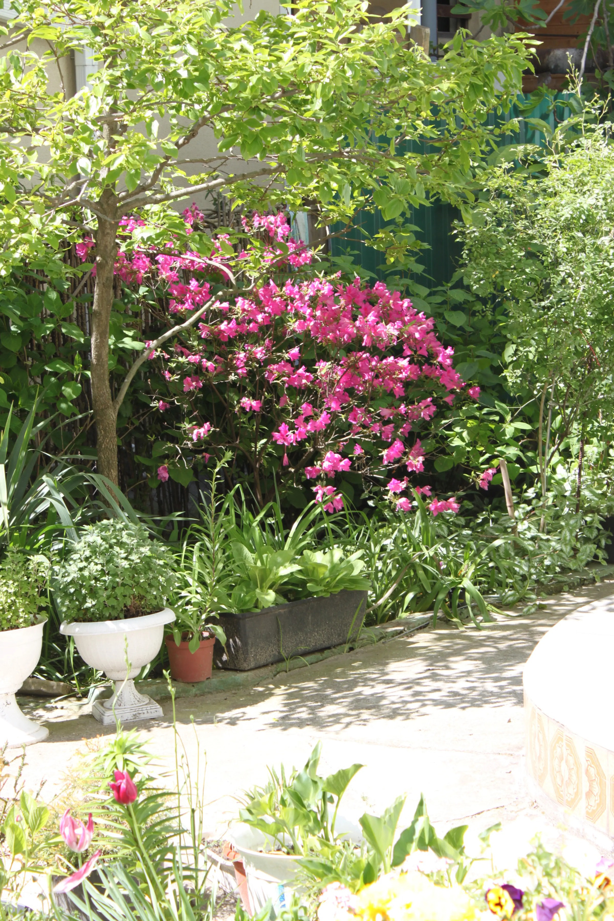 Dobro Pozhalovat Guest House