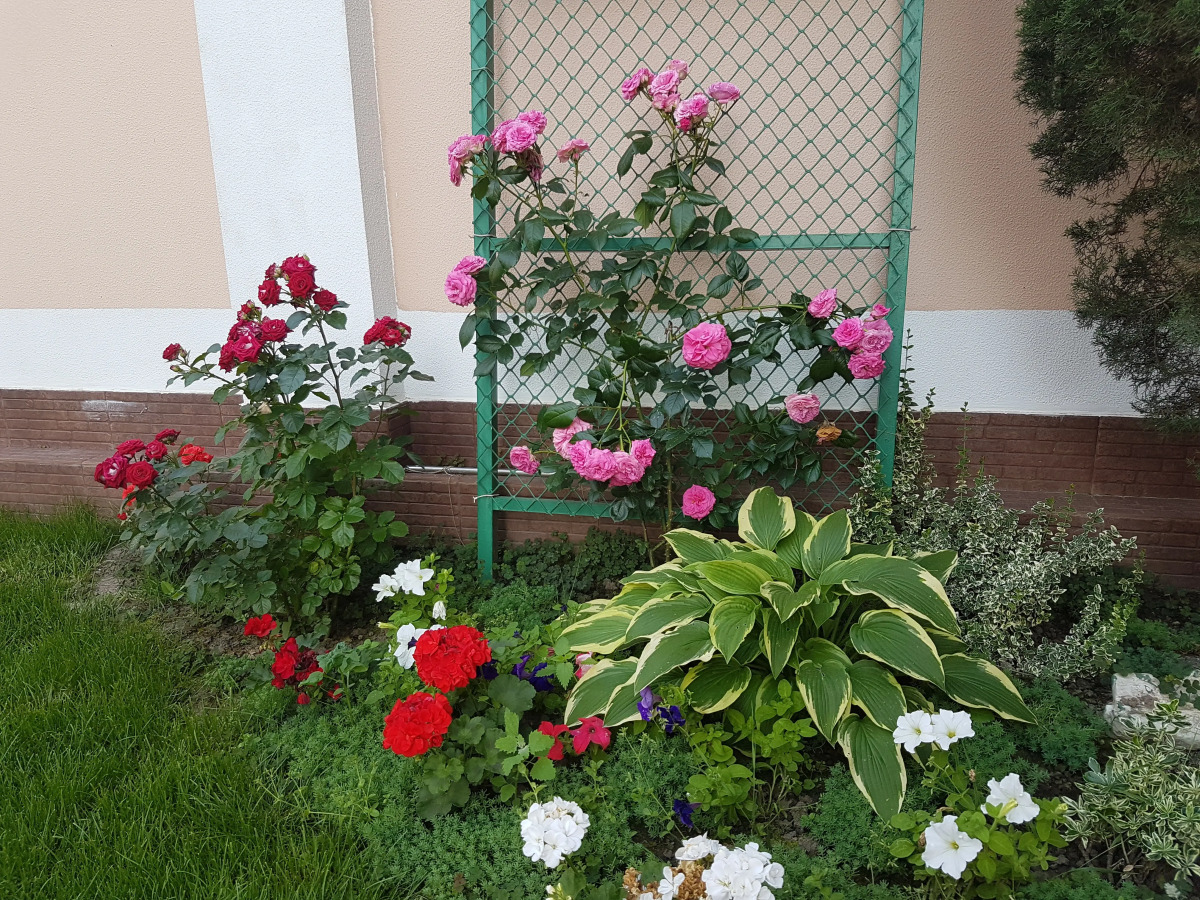 Гостевой дом Русь Геленджик