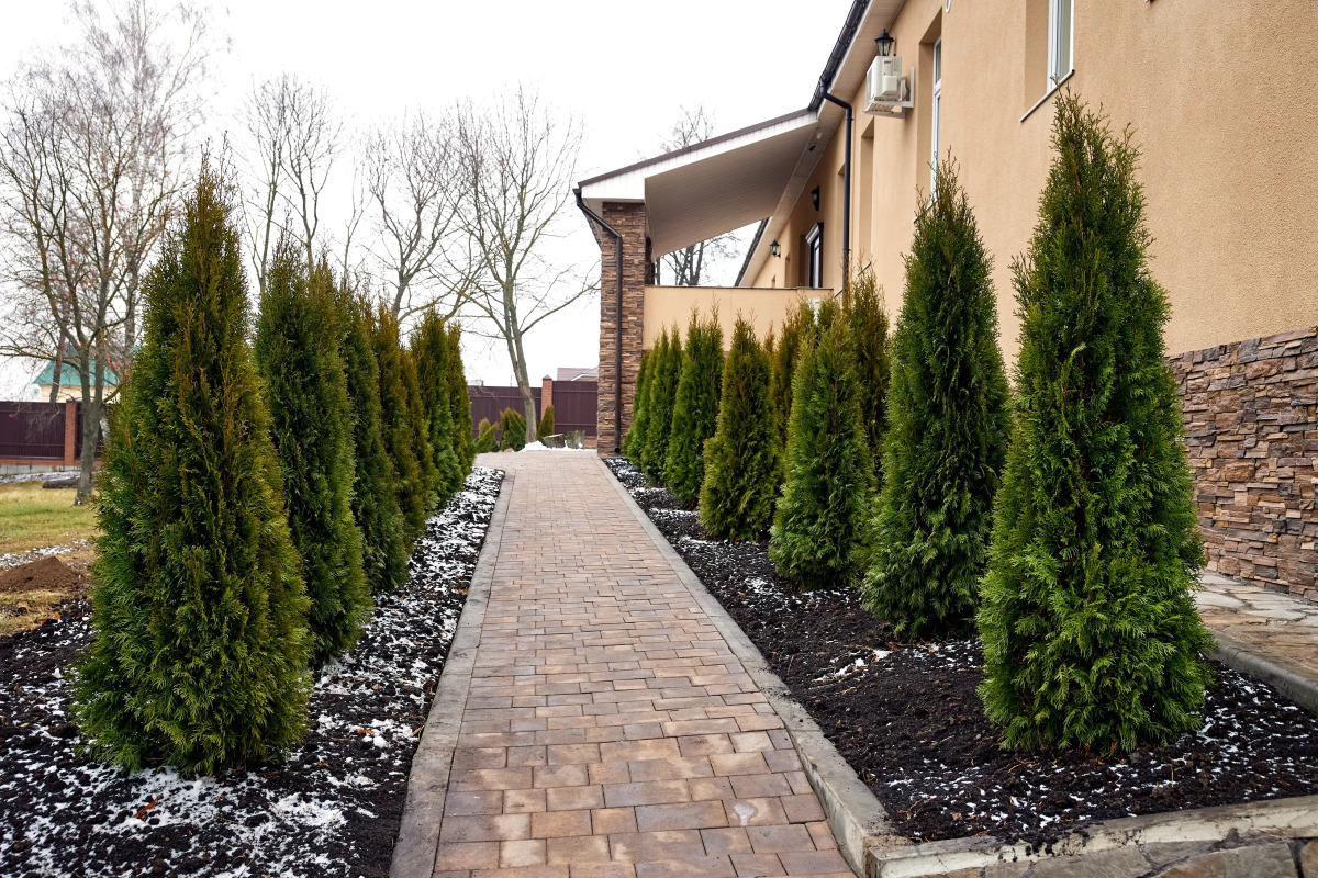 Отель Русский Пар