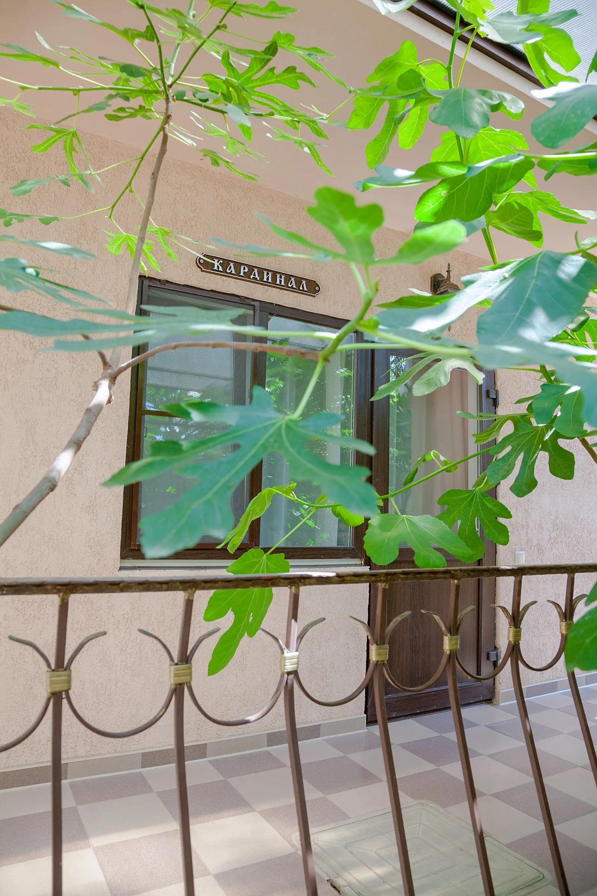 Гостевой дом Виноградная Лестница