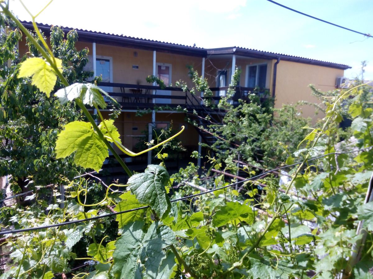 Гостевой Дом Ясень