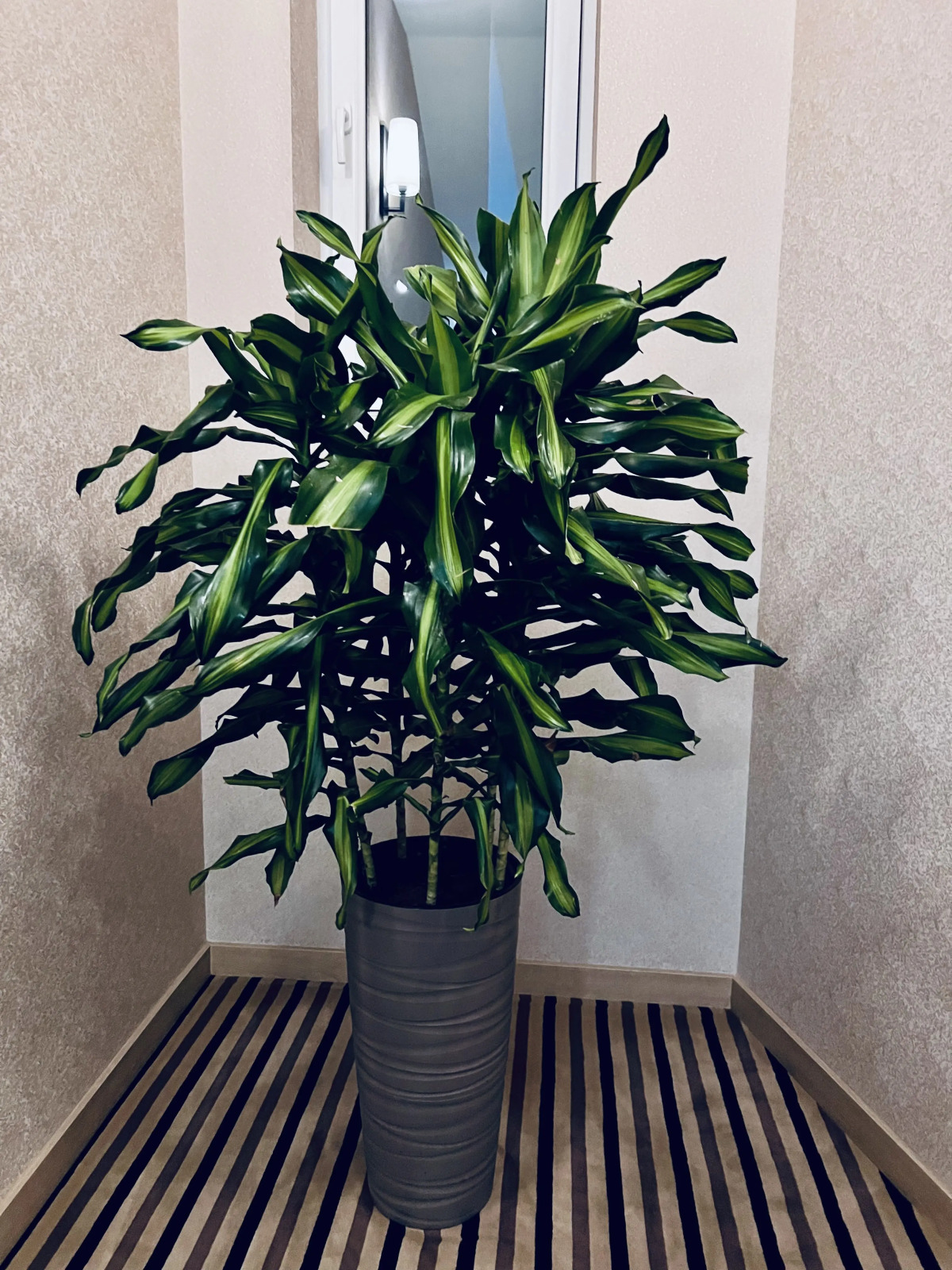 Бутик-отель Bristol Hotel Tashkent