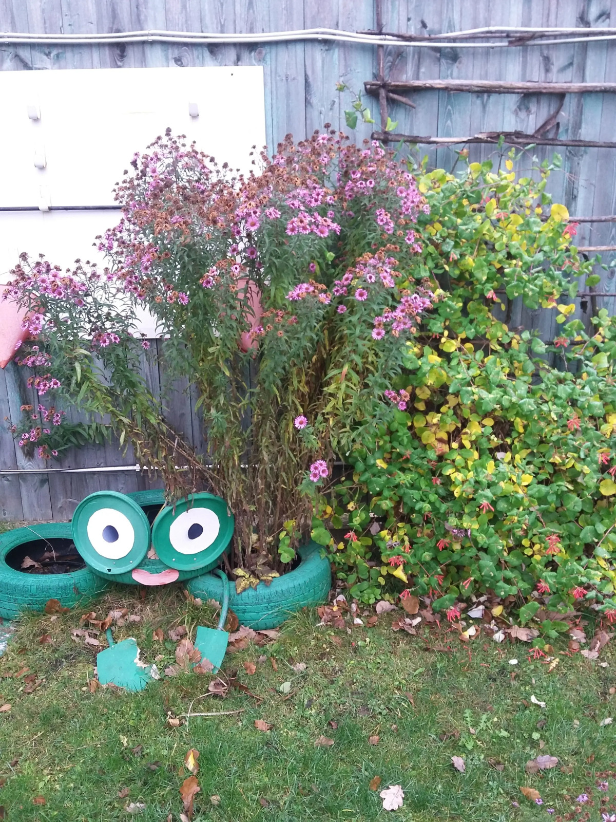 Меблированные комнаты Мещерино