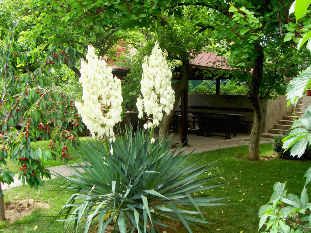 Гостевой Дом Солнечная Ривьера