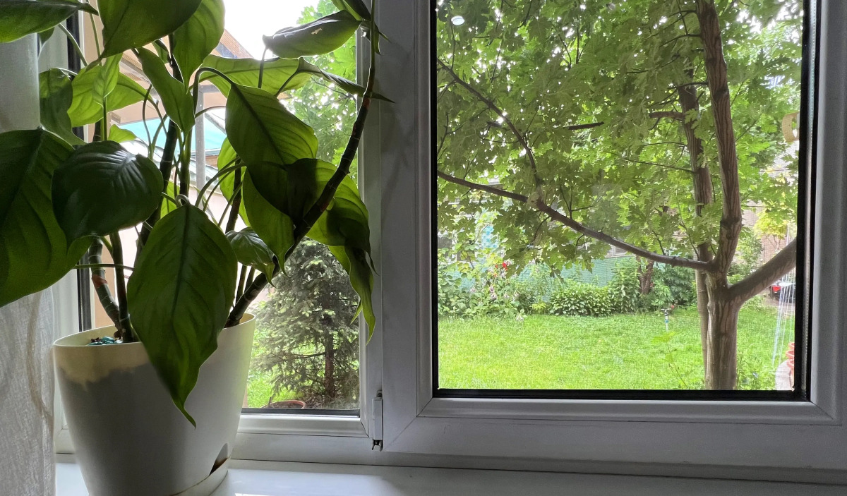 Гостевой Дом Frodo