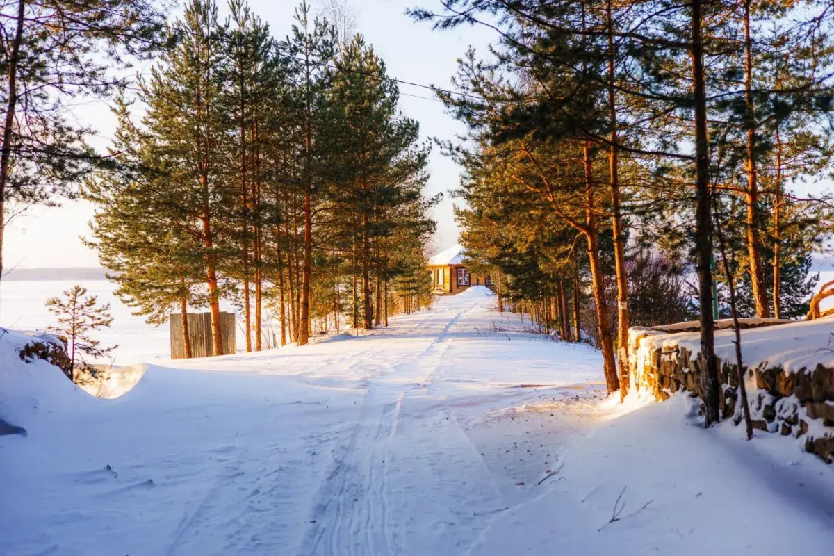 Апартаменты Отдых на Селигере турбаза Чайка