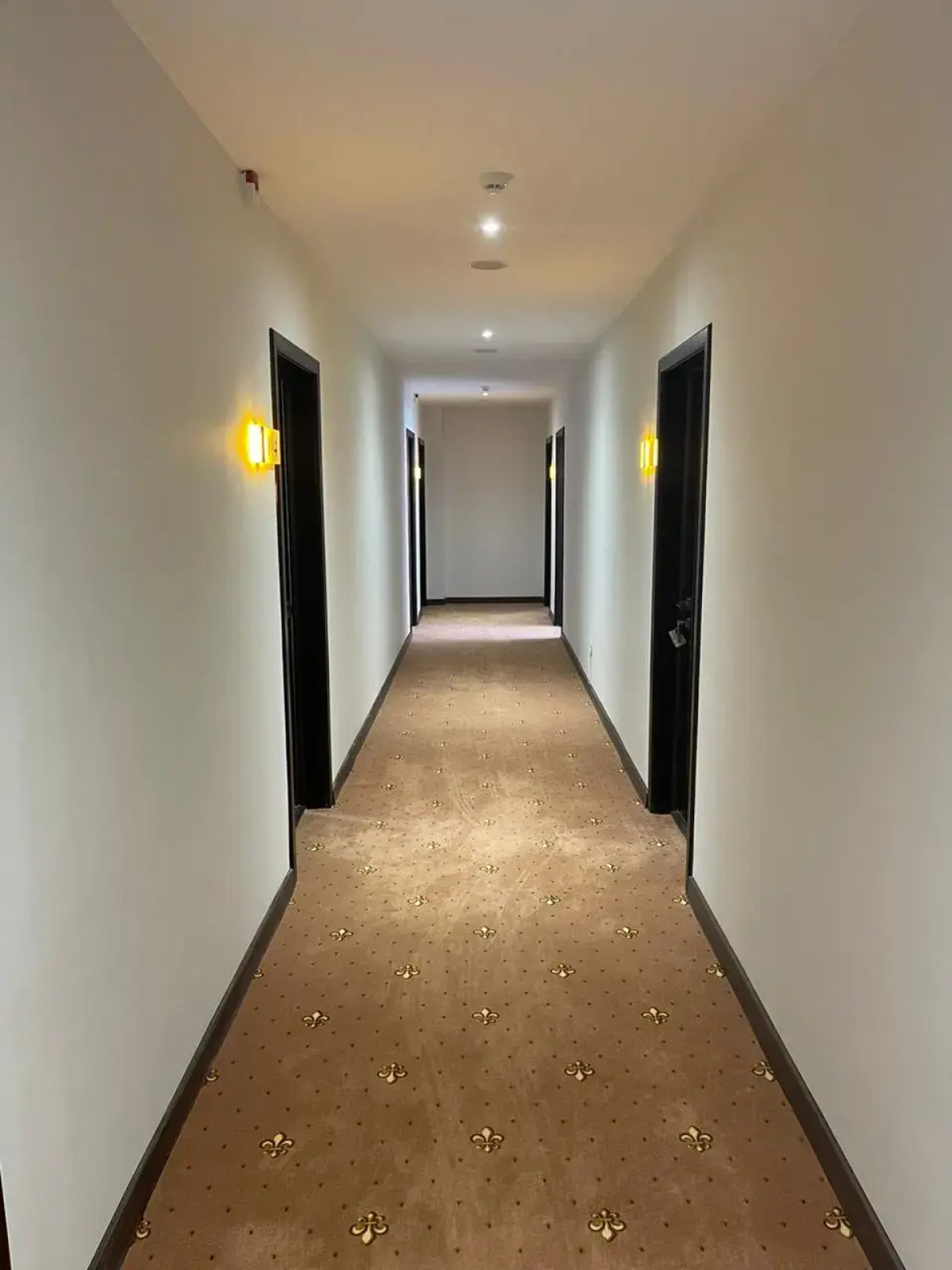 Отель Holiday Inn Pskov