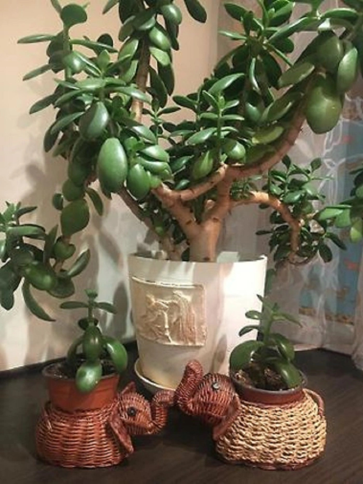 Апартаменты Вдохновение