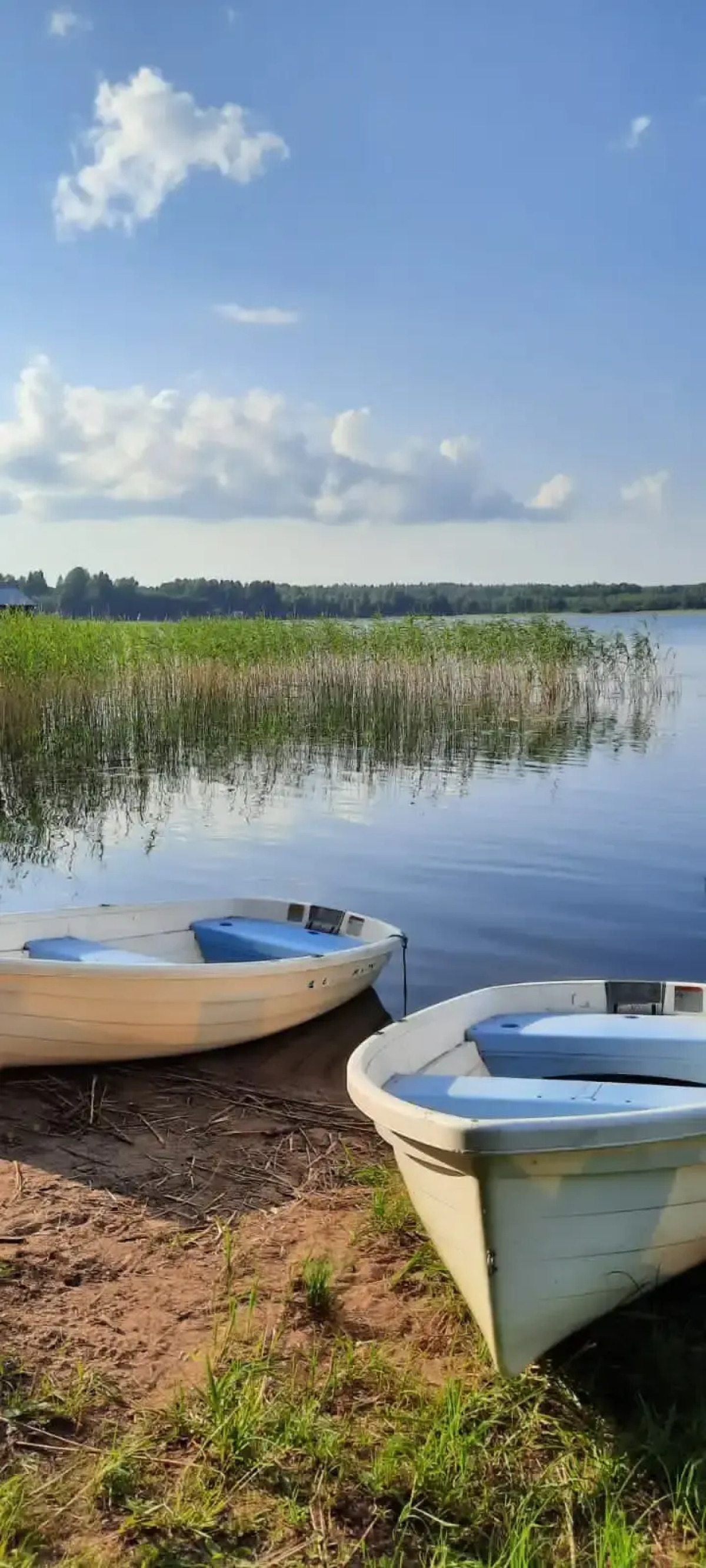 Гостевой Дом Шишки