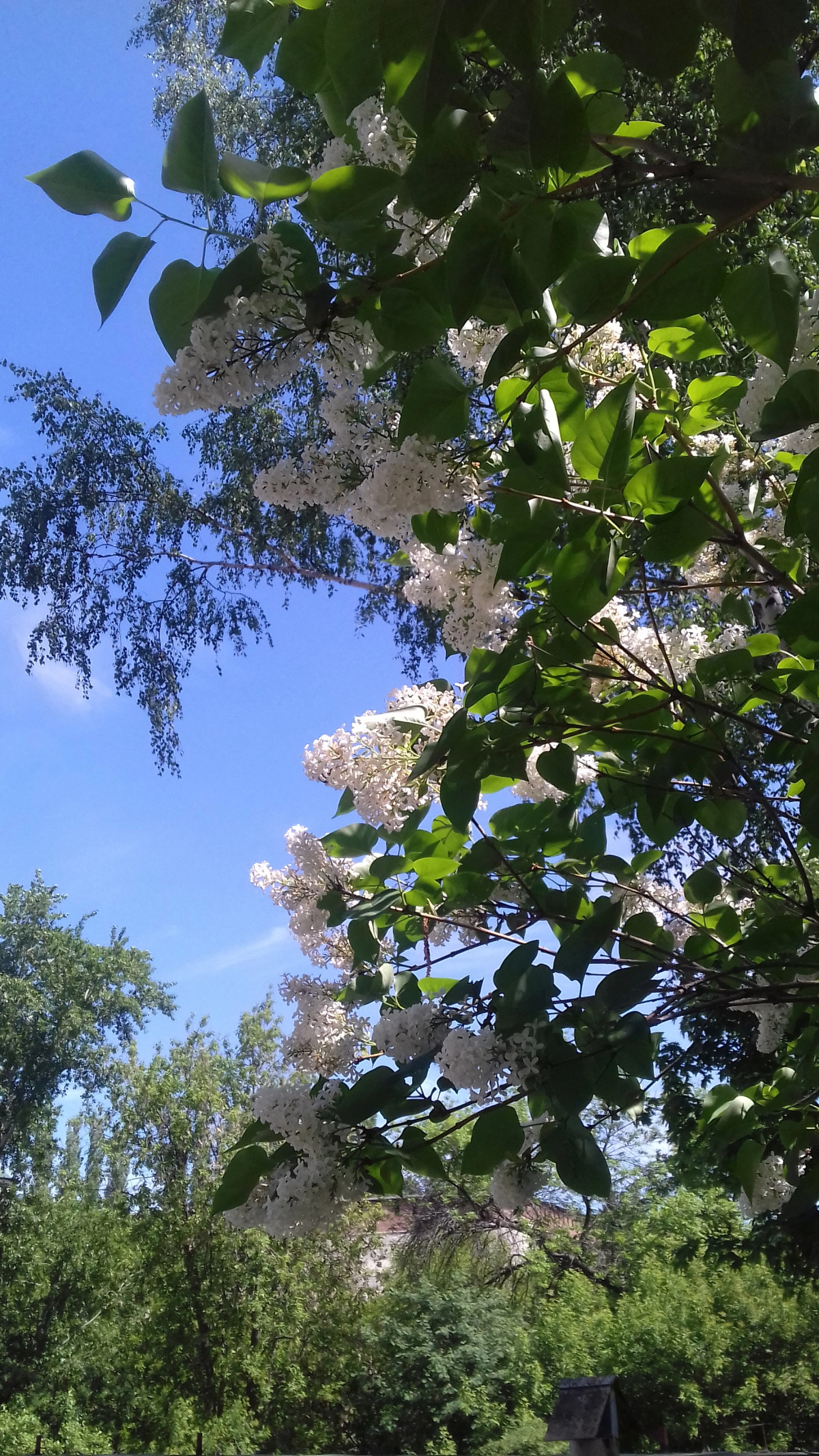 Гостиница У Домика Петра