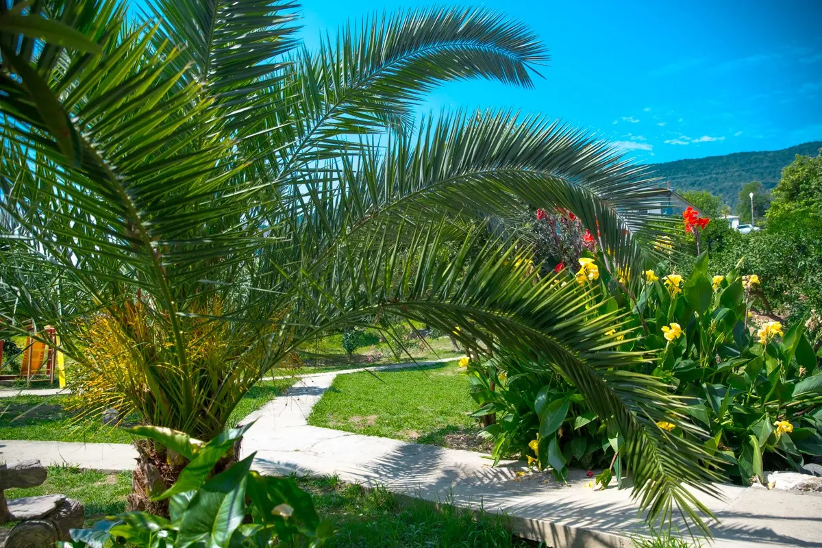 Мини-отель Мэри