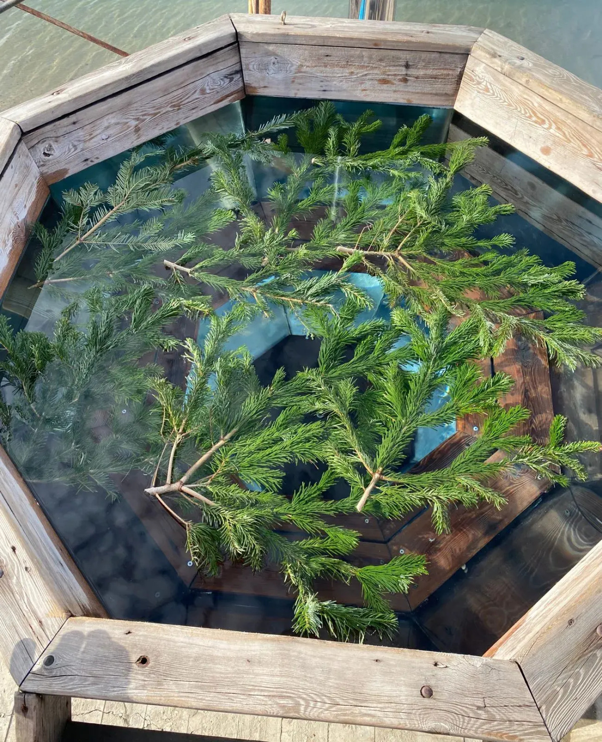 Ягода-Малина