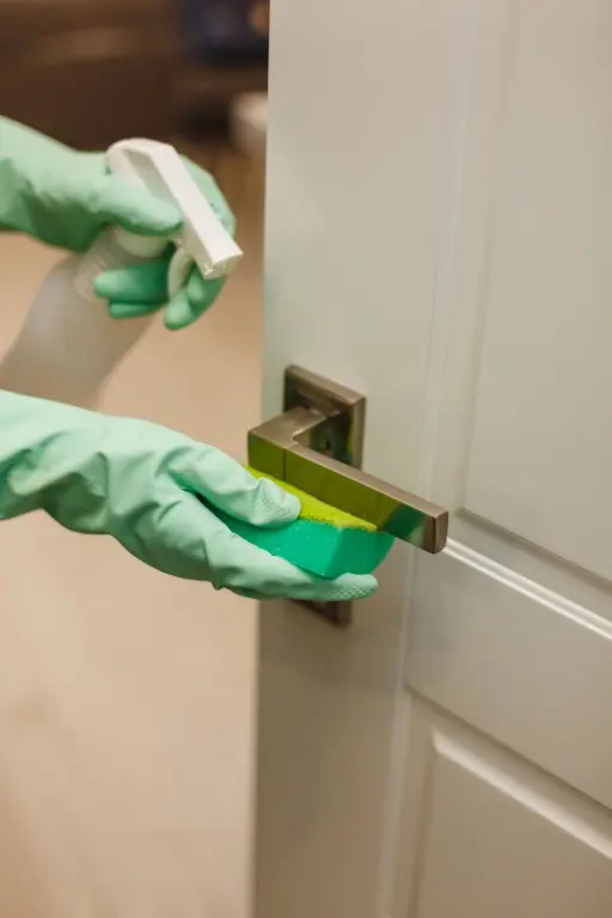 Апартаменты Vincent Apart 1