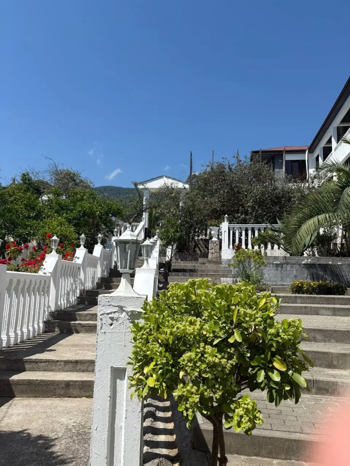 White Hotel