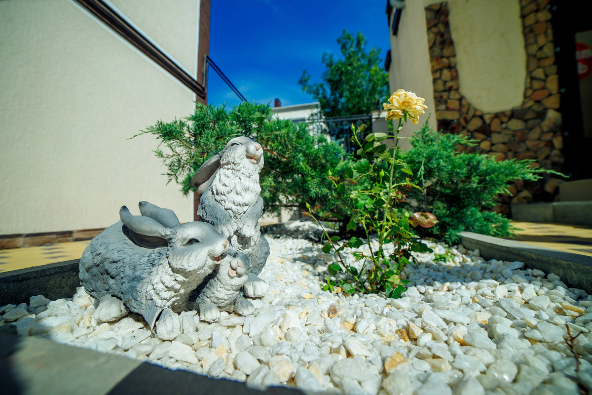 Гостевой дом Hare house