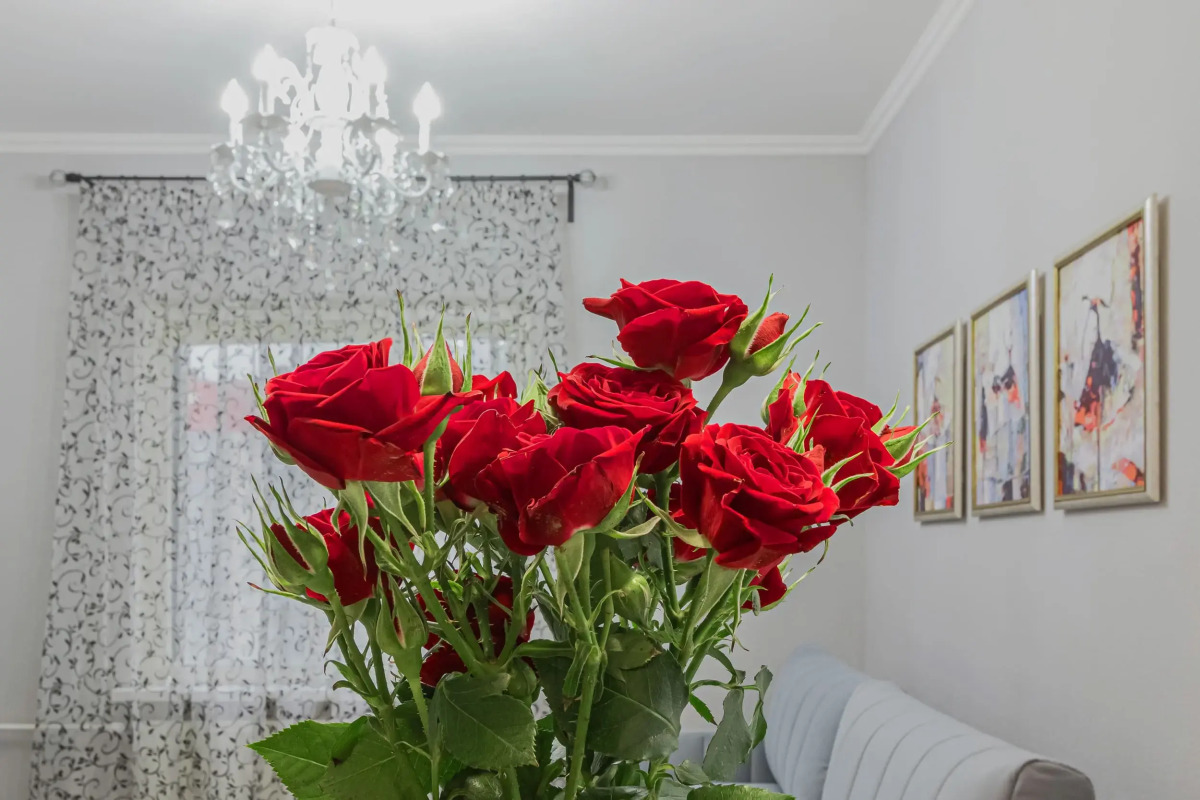 Апартаменты на Парашютной улице