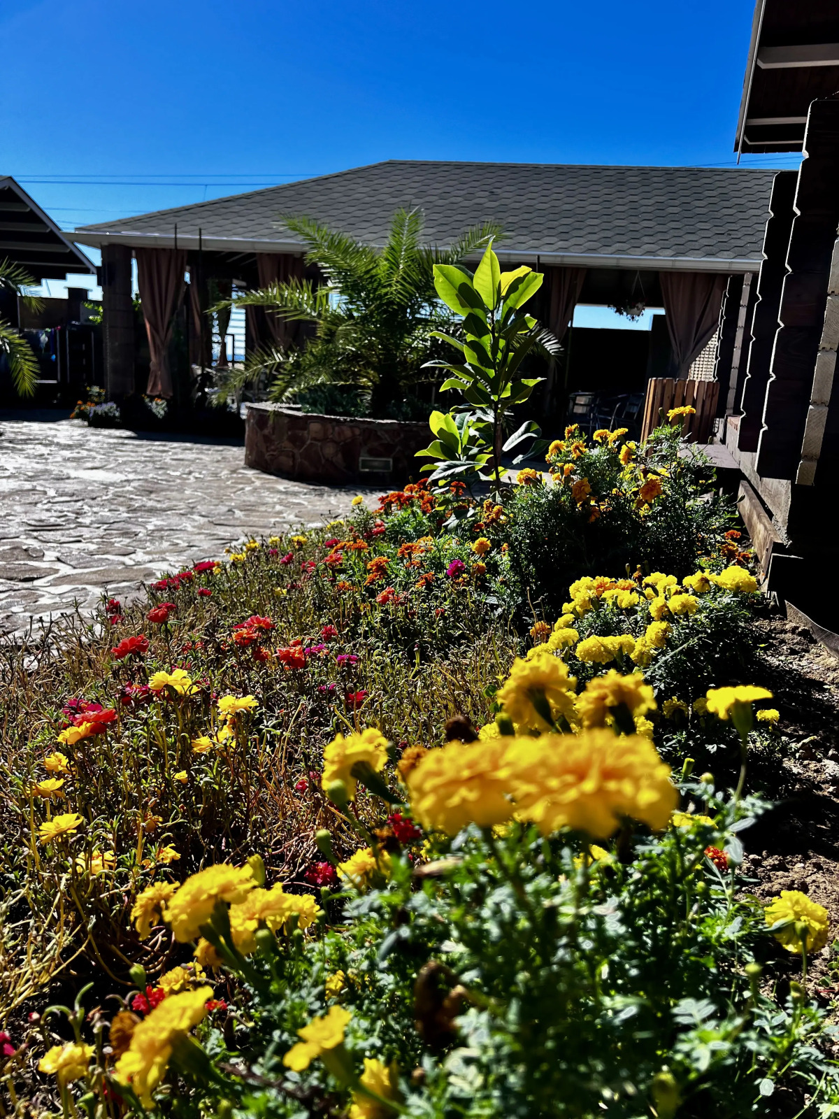 База отдыха Флора