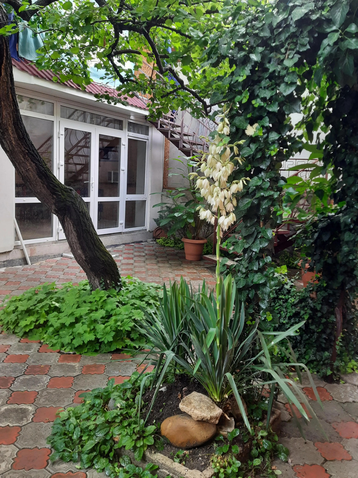 Гостевой Дом Дом в Розах