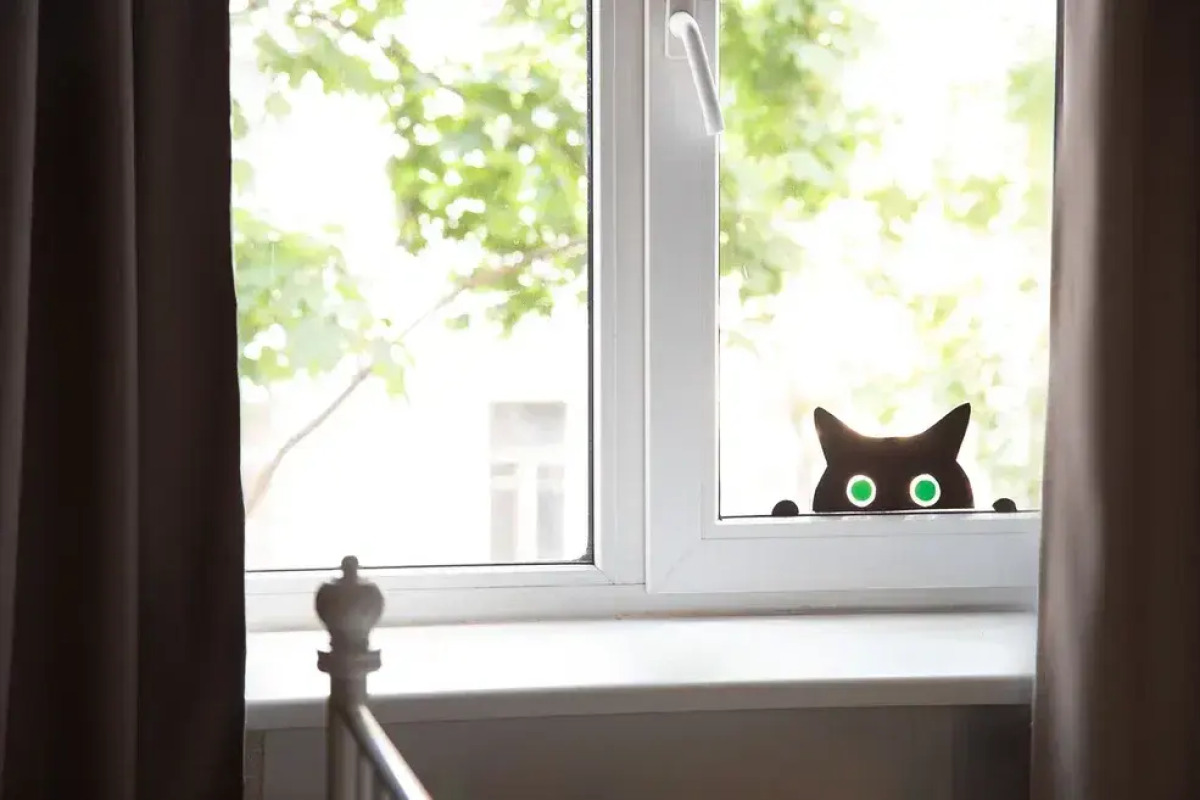 Квартира Город Рек на Гражданской улице 20-22 у метро Садовая